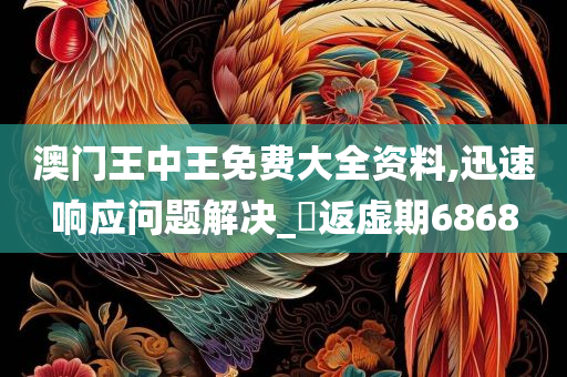 澳门王中王免费大全资料,迅速响应问题解决_‌返虚期6868