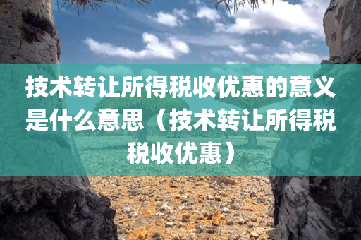 技术转让所得税收优惠的意义是什么意思（技术转让所得税税收优惠）