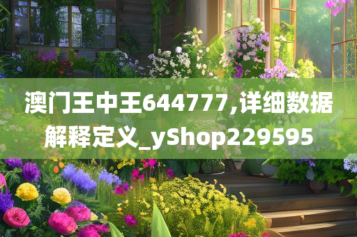 澳门王中王644777,详细数据解释定义_yShop229595