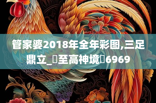 管家婆2018年全年彩图,三足鼎立_‌至高神境‌6969