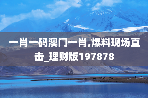 一肖一码澳门一肖,爆料现场直击_理财版197878