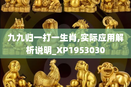 九九归一打一生肖,实际应用解析说明_XP1953030