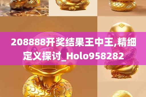 208888开奖结果王中王,精细定义探讨_Holo958282