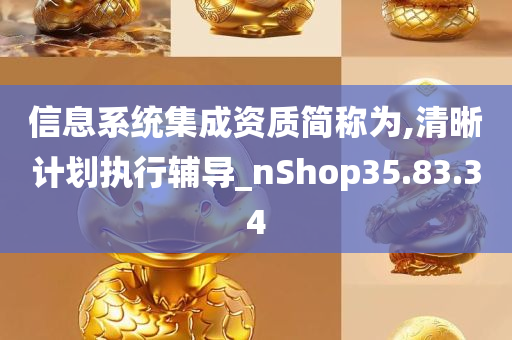 信息系统集成资质简称为,清晰计划执行辅导_nShop35.83.34