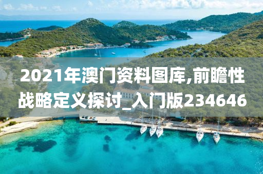 2021年澳门资料图库,前瞻性战略定义探讨_入门版234646