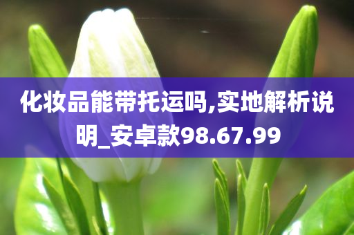 化妆品能带托运吗,实地解析说明_安卓款98.67.99