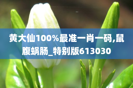 黄大仙100%最准一肖一码,鼠腹蜗肠_特别版613030