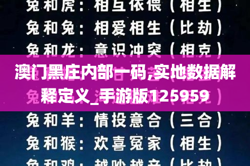 澳门黑庄内部一码,实地数据解释定义_手游版125959