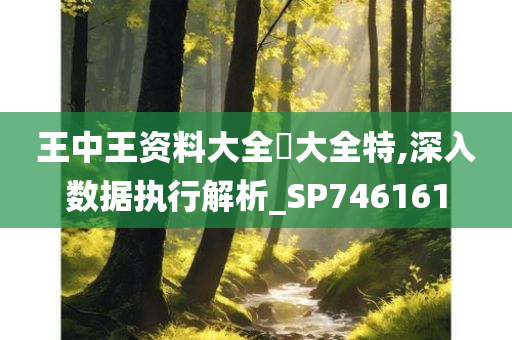 王中王资料大全枓大全特,深入数据执行解析_SP746161