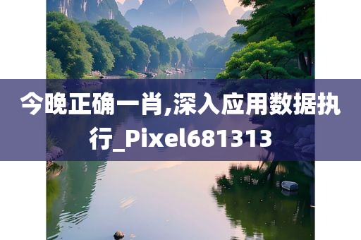 今晚正确一肖,深入应用数据执行_Pixel681313