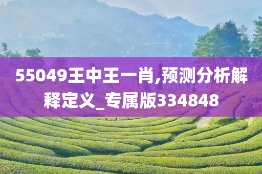 55049王中王一肖,预测分析解释定义_专属版334848