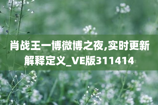 肖战王一博微博之夜,实时更新解释定义_VE版311414