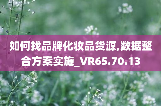 如何找品牌化妆品货源,数据整合方案实施_VR65.70.13