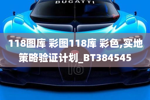 118图库 彩图118库 彩色,实地策略验证计划_BT384545