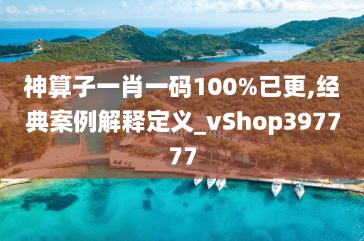 神算子一肖一码100%已更,经典案例解释定义_vShop397777