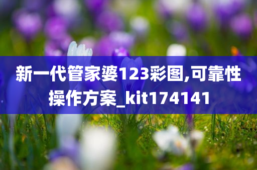 新一代管家婆123彩图,可靠性操作方案_kit174141