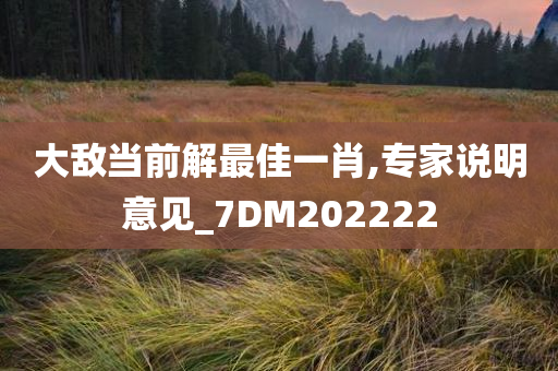 大敌当前解最佳一肖,专家说明意见_7DM202222