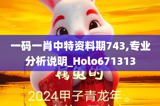 一码一肖中特资料期743,专业分析说明_Holo671313