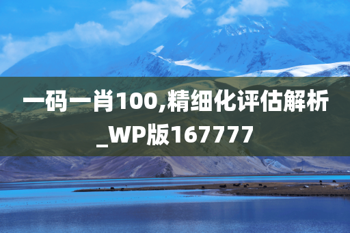 一码一肖100,精细化评估解析_WP版167777