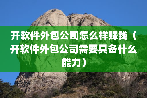 开软件外包公司怎么样赚钱（开软件外包公司需要具备什么能力）