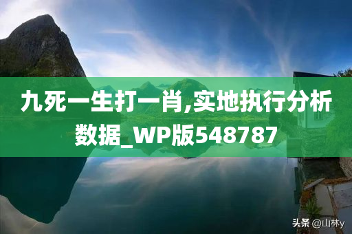 九死一生打一肖,实地执行分析数据_WP版548787