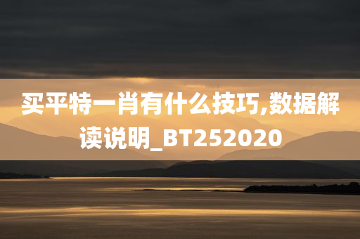 买平特一肖有什么技巧,数据解读说明_BT252020