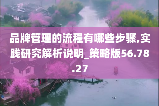 品牌管理的流程有哪些步骤,实践研究解析说明_策略版56.78.27