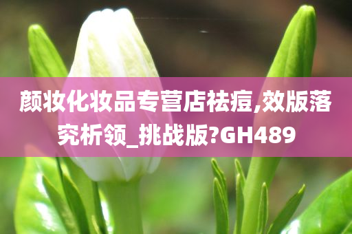 颜妆化妆品专营店祛痘,效版落究析领_挑战版?GH489