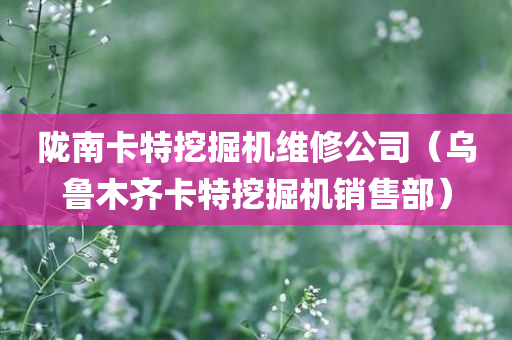 陇南卡特挖掘机维修公司（乌鲁木齐卡特挖掘机销售部）