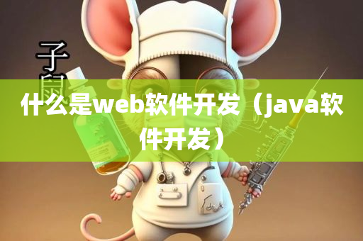 什么是web软件开发（java软件开发）