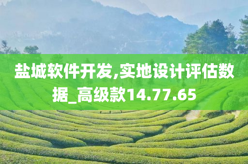 盐城软件开发,实地设计评估数据_高级款14.77.65