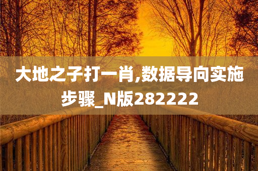 大地之子打一肖,数据导向实施步骤_N版282222