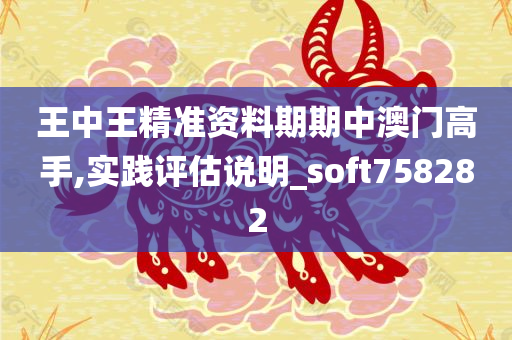 王中王精准资料期期中澳门高手,实践评估说明_soft758282