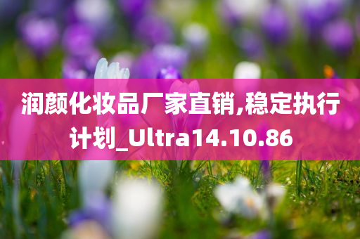 润颜化妆品厂家直销,稳定执行计划_Ultra14.10.86