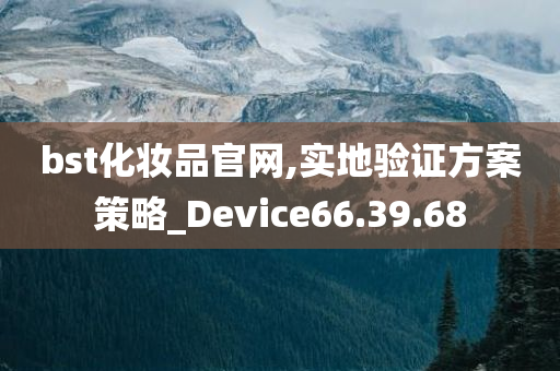 bst化妆品官网,实地验证方案策略_Device66.39.68