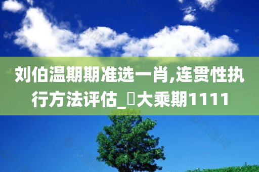 刘伯温期期准选一肖,连贯性执行方法评估_‌大乘期1111