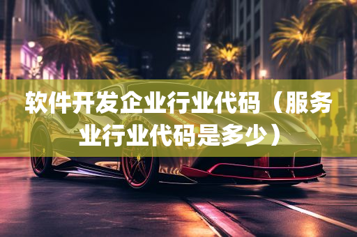 软件开发企业行业代码（服务业行业代码是多少）