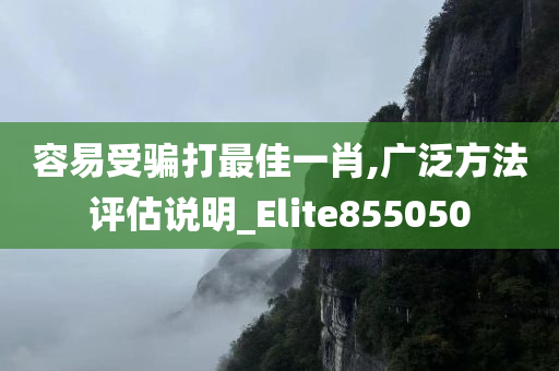 容易受骗打最佳一肖,广泛方法评估说明_Elite855050