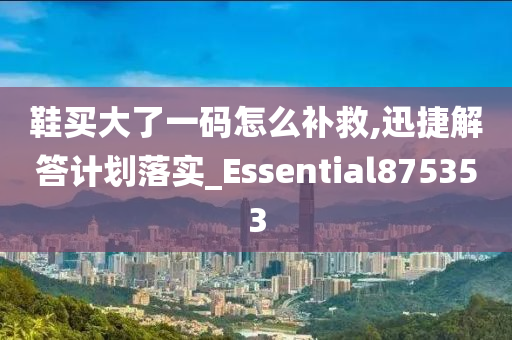 鞋买大了一码怎么补救,迅捷解答计划落实_Essential875353