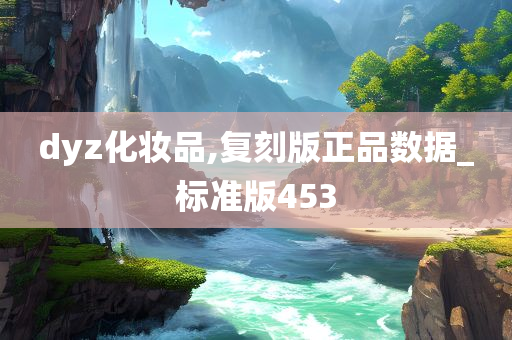 dyz化妆品,复刻版正品数据_标准版453