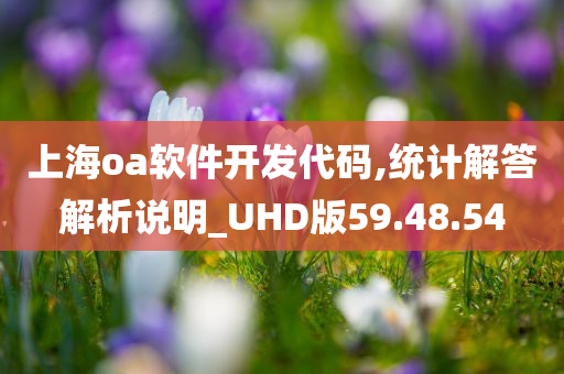 上海oa软件开发代码,统计解答解析说明_UHD版59.48.54