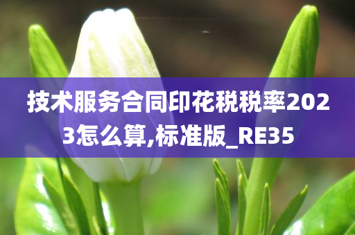 技术服务合同印花税税率2023怎么算,标准版_RE35