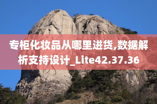 专柜化妆品从哪里进货,数据解析支持设计_Lite42.37.36