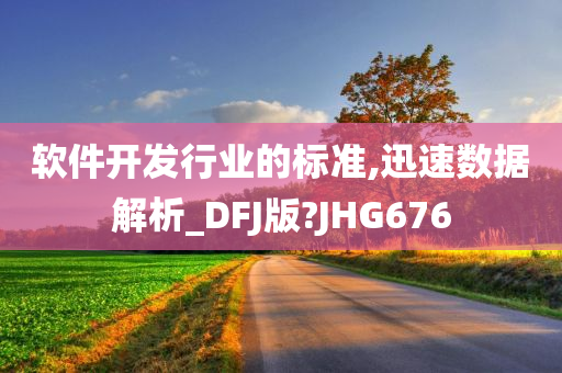 软件开发行业的标准,迅速数据解析_DFJ版?JHG676