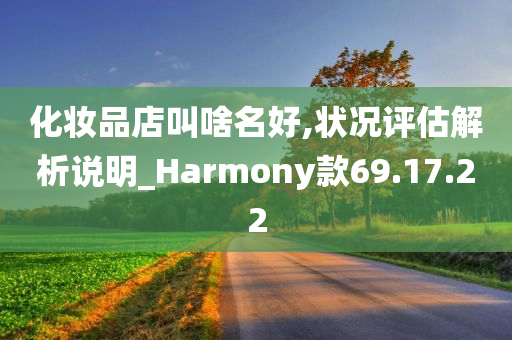 化妆品店叫啥名好,状况评估解析说明_Harmony款69.17.22