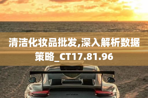 清洁化妆品批发,深入解析数据策略_CT17.81.96