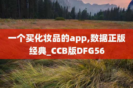 一个买化妆品的app,数据正版经典_CCB版DFG56