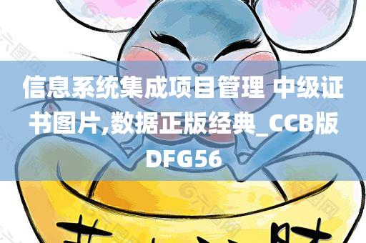 信息系统集成项目管理 中级证书图片,数据正版经典_CCB版DFG56