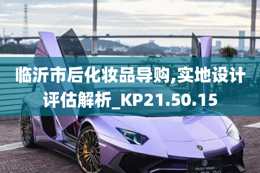 临沂市后化妆品导购,实地设计评估解析_KP21.50.15