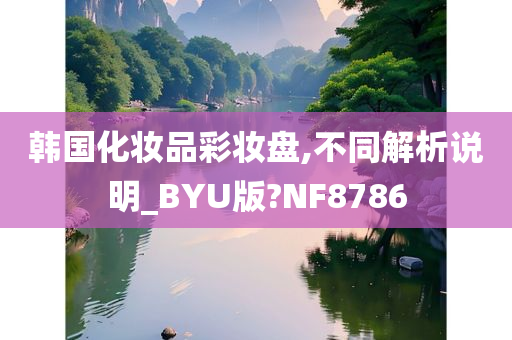 韩国化妆品彩妆盘,不同解析说明_BYU版?NF8786